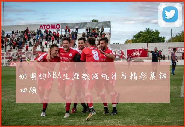 姚明的NBA生涯数据统计与精彩集锦回顾