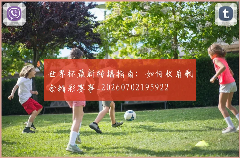 世界杯最新转播指南：如何收看剩余精彩赛事_20260702195922
