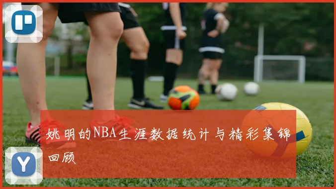 姚明的NBA生涯数据统计与精彩集锦回顾